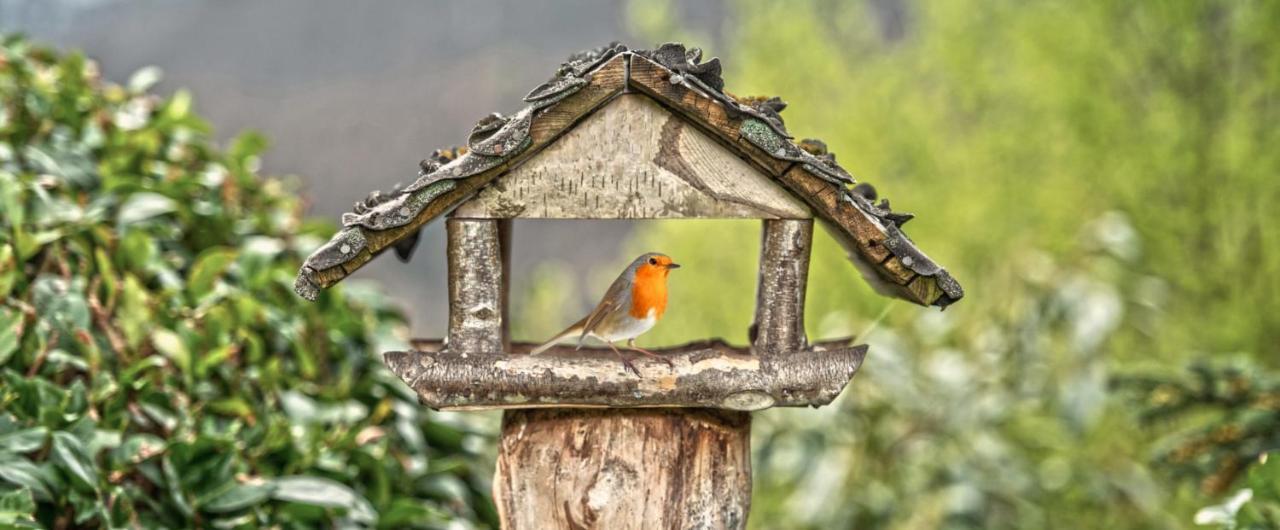 Ferienhaus Rothaarblick シュマレンベルク エクステリア 写真